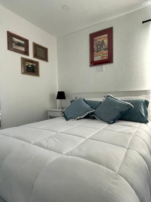 The Paddock House At Blanco Texas Villa Luaran gambar